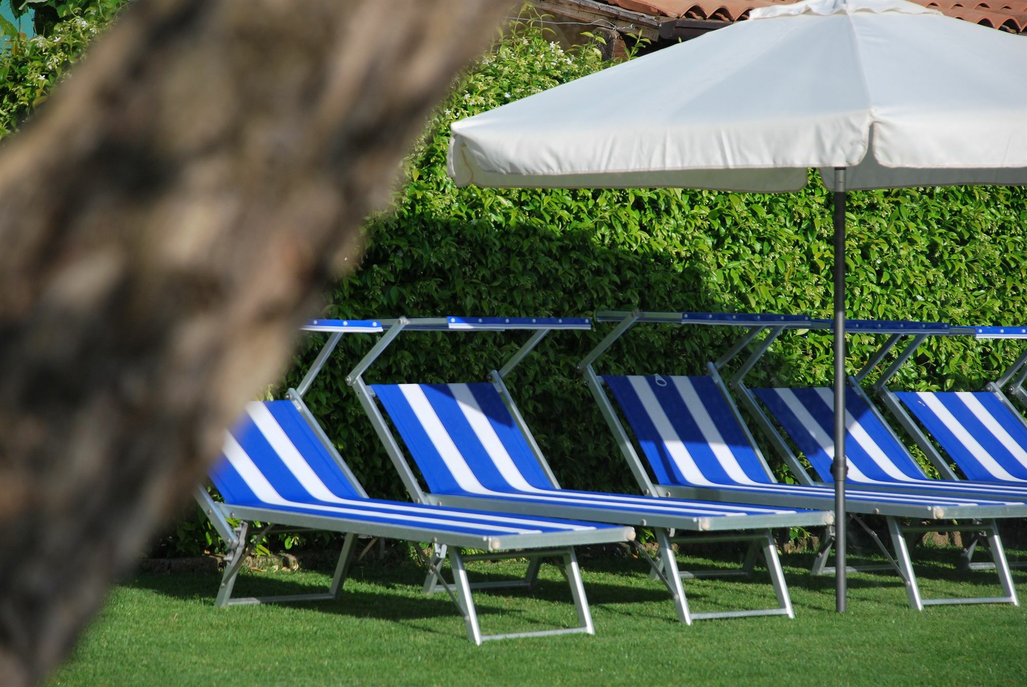 La Tinassara Bed and Breakfast Lazise Buitenkant foto